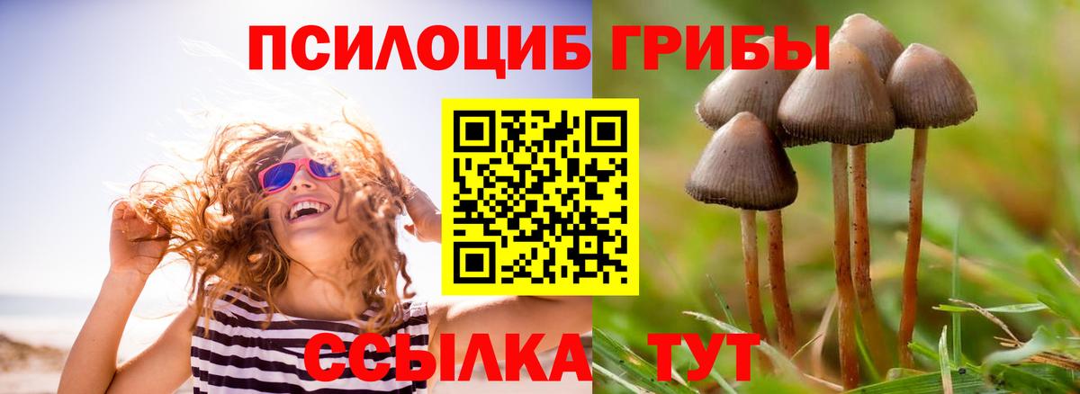 Галлюциногенные грибы Cubensis  Вход с VPN  Псилоцибиновые грибы Magic Shrooms  Георгиевск 